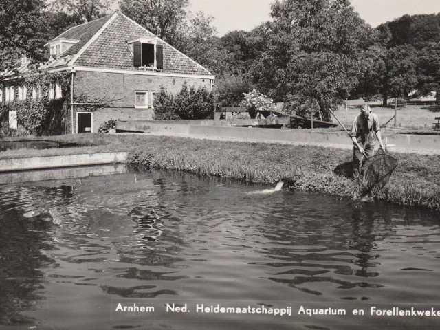 1932 1101, ansicht Aquarium,  Begijnemolen