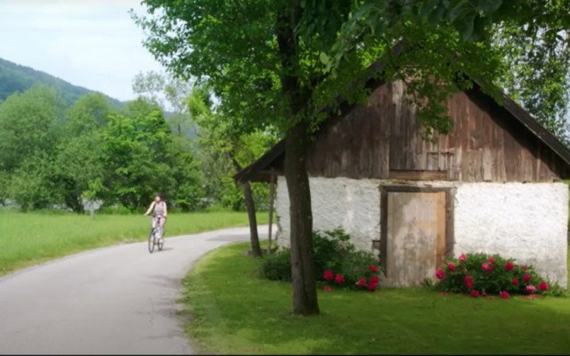biking tour donau photo