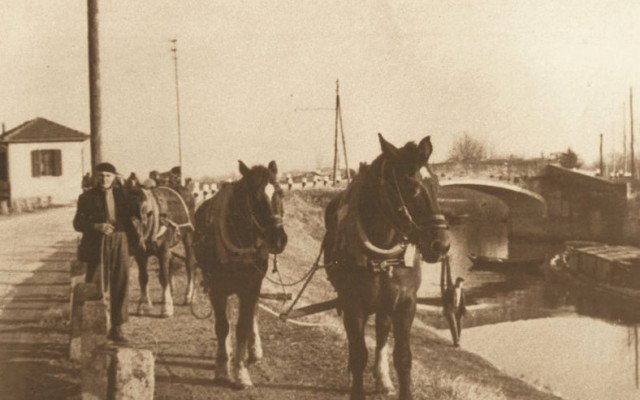 Alla citta di Trieste   Bacchiglione