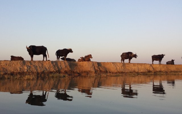 3 Heritage of the centrale marshlands