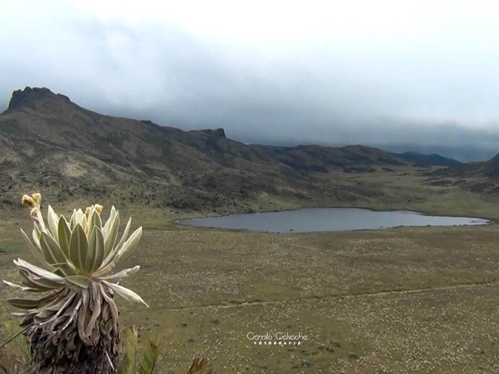 Laguna Magdalena: High-Andean Hydrology Route
