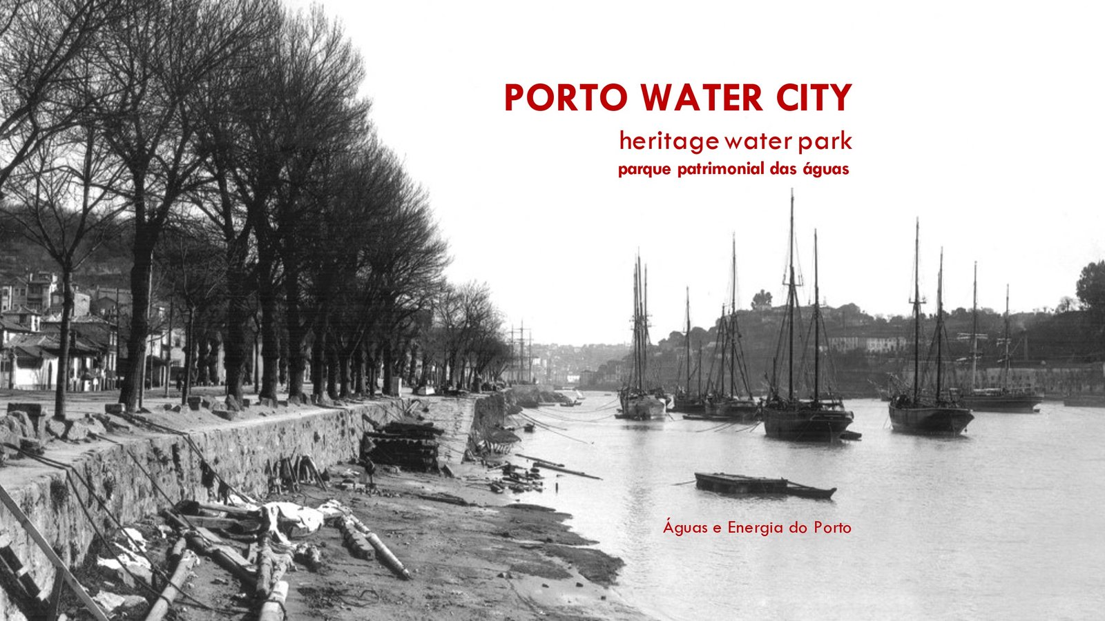 Porto Water City