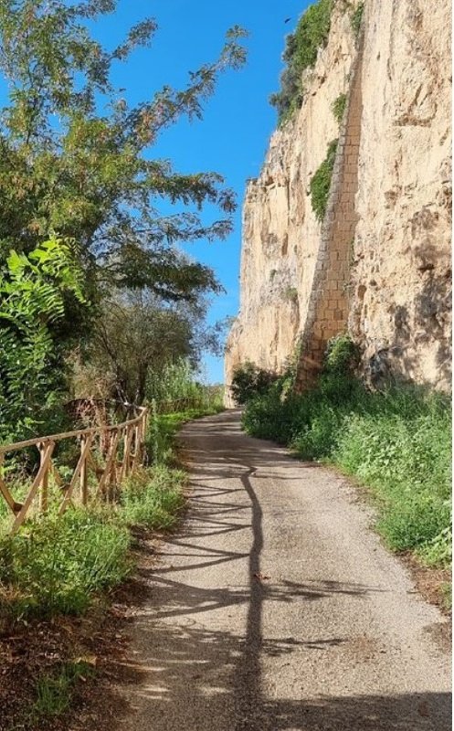 Ring of the cliff