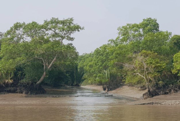 Sundarban, the world’s largest mangrove forest