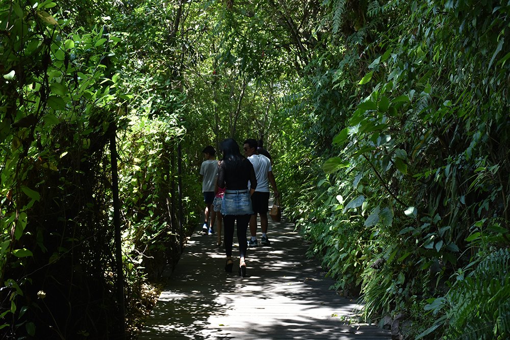 Tour "Let's Recover Our Ravine"