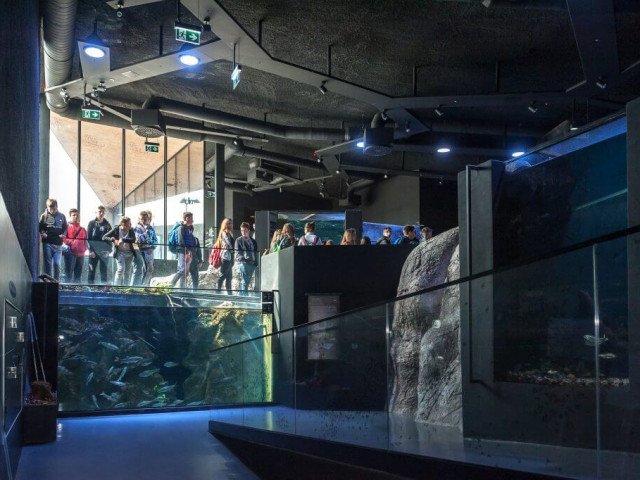 AQUATIKA, inside the aquarium exhibition