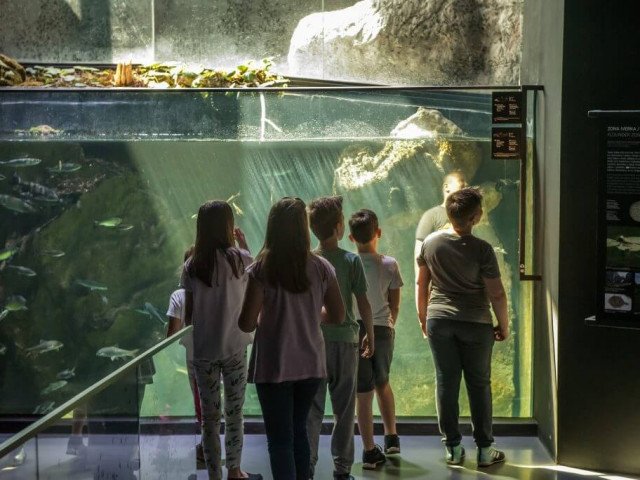 AQUATIKA, children exploring aquarium