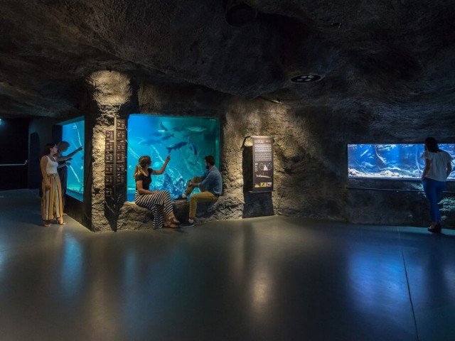AQUATIKA, the aquarium cave