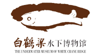 Chongqing Baiheliang Underwater Museum