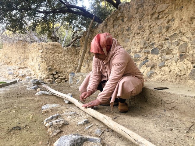 The villagers use a handcrafted notched wooden trunk calibrated with nails and strings to measure and control irrigation turns with extraordinary precision © Irene Leonardelli