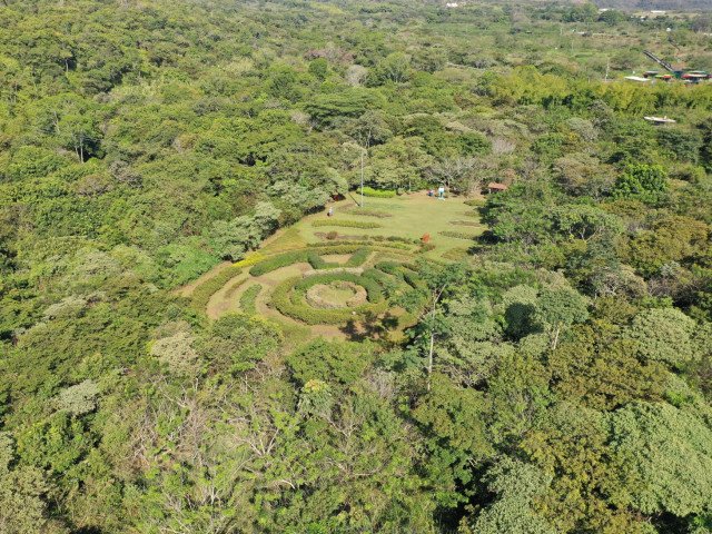 Aerial view of the "Pollinator Garden"
