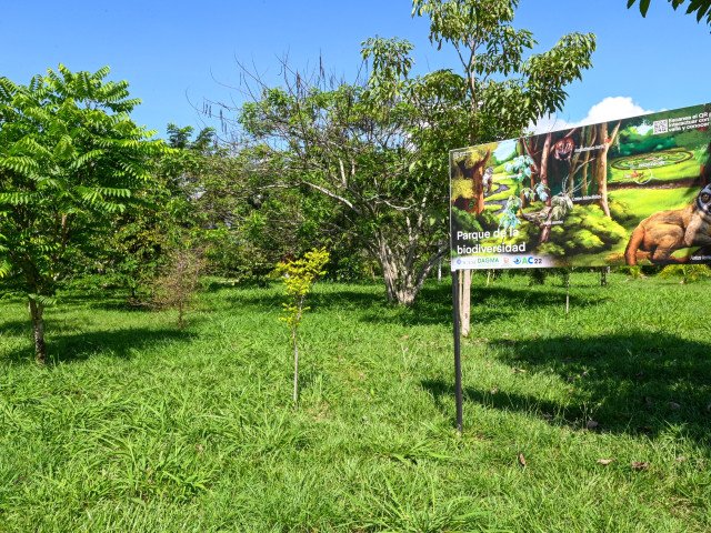 Illustrative panel with QR code in the centre of the park