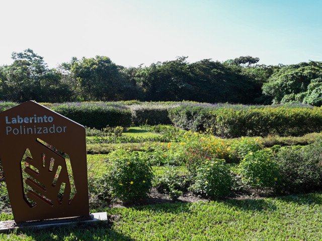The "Pollinator Maze", designed to attract and shelter a wide variety of pollinators such as bees, butterflies and hummingbirds