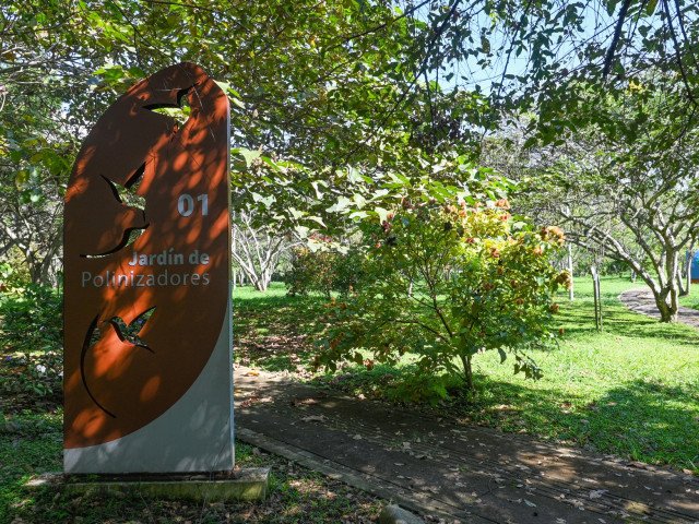 The "Pollinator Garden"