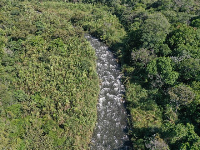 The Pance River, a vital resource for the city of Cali and its inhabitants