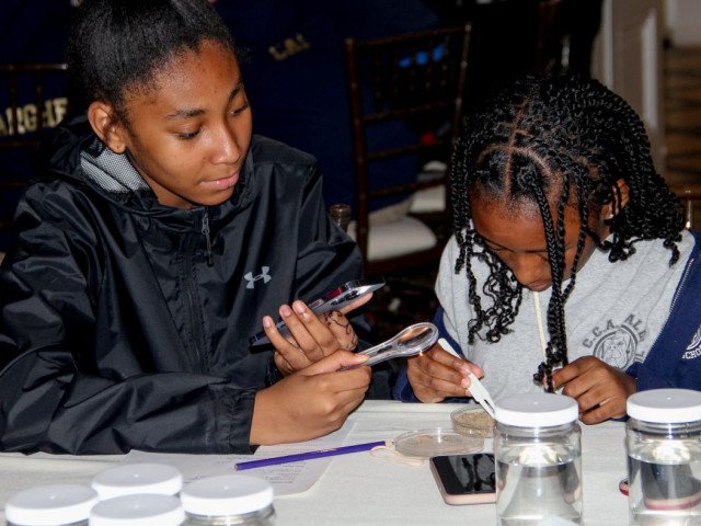 Students Sifting for microplastics in the water (Photo by Andrea McClenon)
