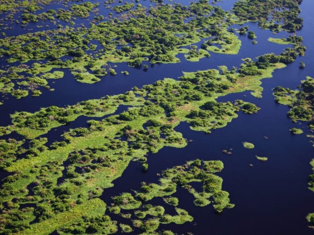 Vista aérea de campos inundados na beira de um rio pantaneiro, Pantanal de Corumbá-MS. Brazil (Mário Friedlander. Free from copyright. ND)
