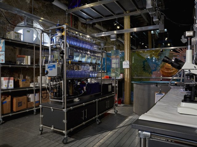 Hatchery interior