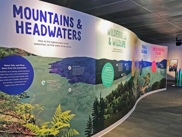 River Alive Scapes Wall