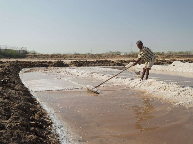 Photographic documentation on Agariya Community (salt-pan workers) from the Little Rann of Kachh - 2017