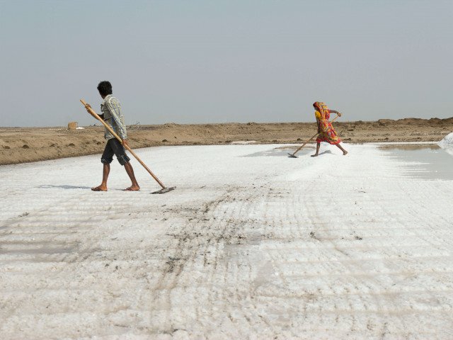 Photographic documentation on Agariya Community (salt-pan workers) from the Little Rann of Kachh - 2017