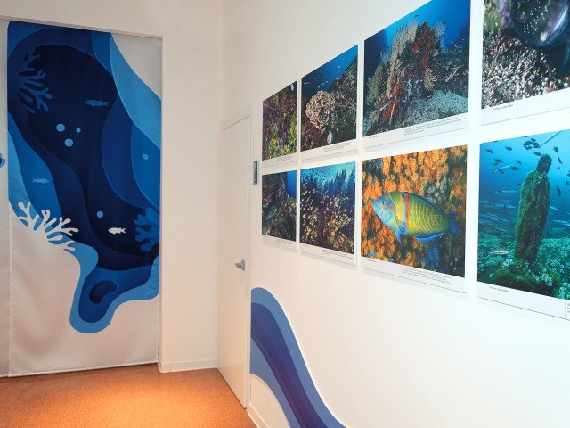 Sea section - Museo Multimediale delle Acque Campane – Author Giuseppe Ottaiano, Copyright Associazione Terre di Campania APS - 2026
