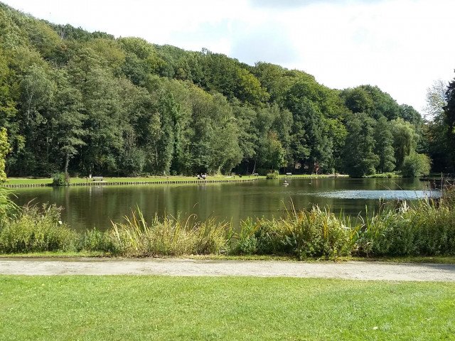 Étang du Bois des Rêves, Ottignies, Noémie Vukasinovic, MEF, 2017