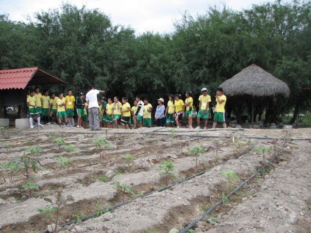 Water cycle Drip irrigation.