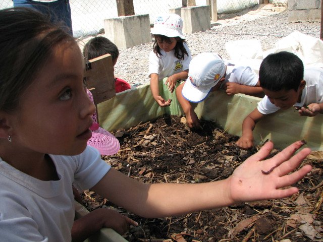 Carbon cycle vermicompost