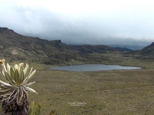 Magdalena Lagoon, headwater of the Magdalena River in the Colombian Massif, Camilo Calvache, 2024