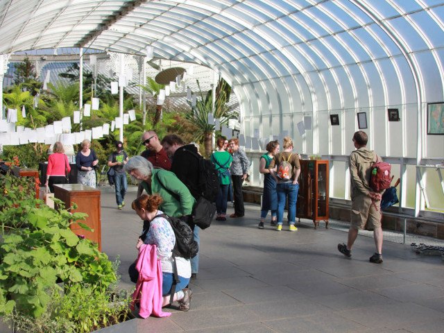 Museum of Water travels to Botanical Gardens, Glasgow, 2015