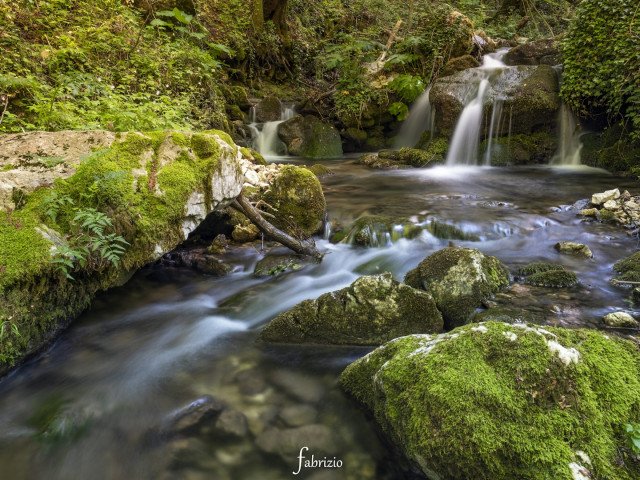 Sassinora source, Sassinoro (BN), F. Di Sisto, 2019