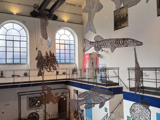 Exhibition. Claudio Onorato, Piccolo bestiario sottomarino
