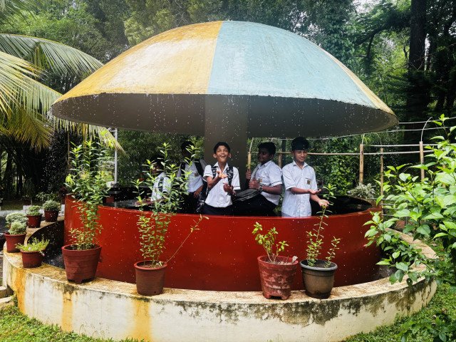 The Rain shelter
