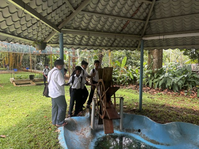 The Water wheel