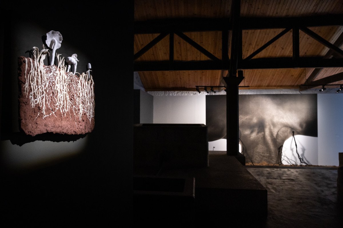 Travelling Exhibition “Soil Art Tales” Opens in Rome on 14 May 2026