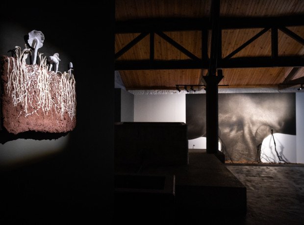 Travelling Exhibition “Soil Art Tales” Opens in Rome on 14 May 2026