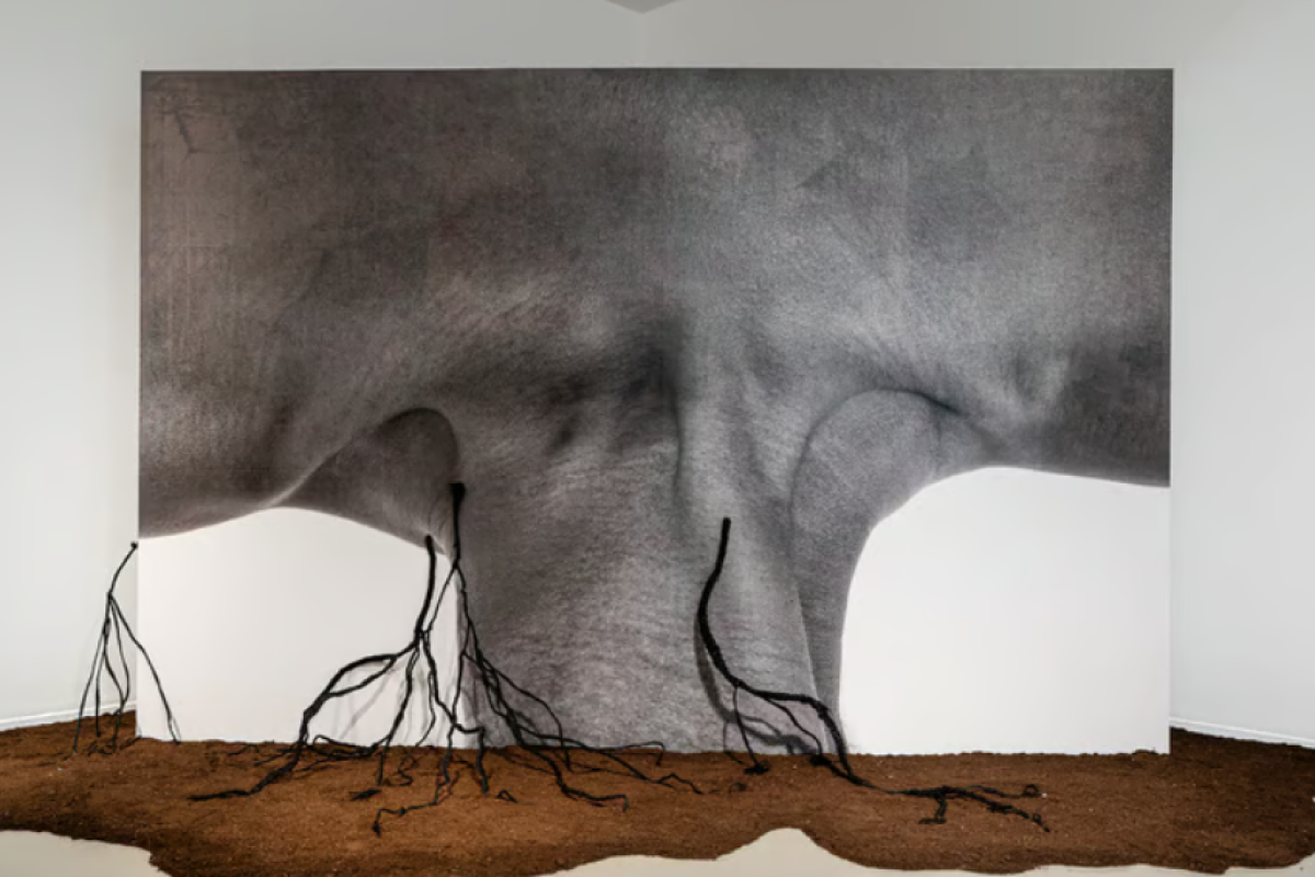 Soil Art Tales opens in Porto: first stop of the travelling exhibition