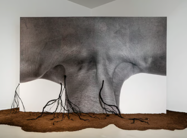 Soil Art Tales opens in Porto: first stop of the travelling exhibition