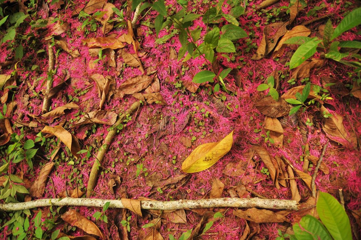 Notice of selection for artists: European project “Soil Tribes"