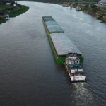 An Entire Biome is about to Perish : The Pantanal in South America