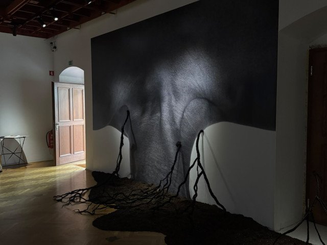 Binta Diaw's artwork. Credits: Stefano Cagol