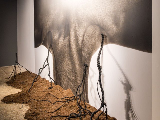Binta Diaw's artwork 'Paysage Corporel XIV'. Credits: NVStudio Serralves