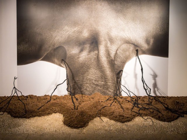 Binta Diaw's artwork 'Paysage Corporel XIV'. Credits: NVStudio Serralves