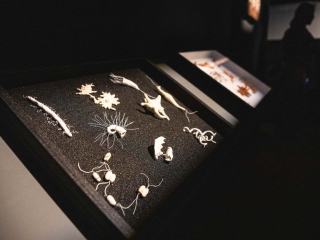 Ceramics Jo Pearl's artwork 'Dirty Secret'. Credits: Sofia Matos Silva