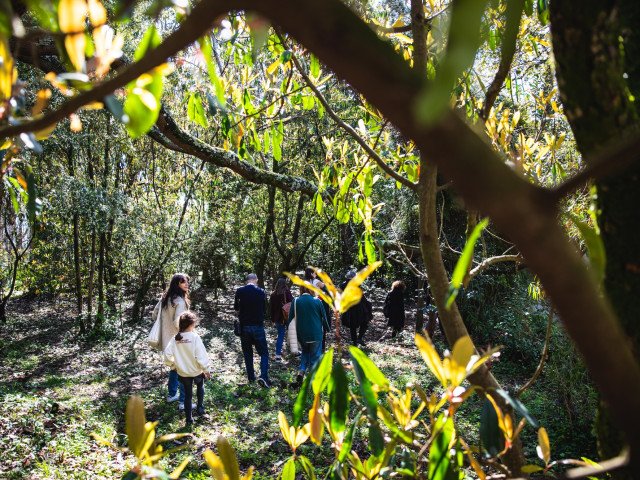 Guided visit with artist Jo Pearl in Serralves Park. Credits: Sofia Matos Silva