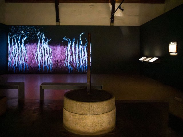 Jo Pearl's artwork 'Dirty Secret'. Credits: NVStudio Serralves