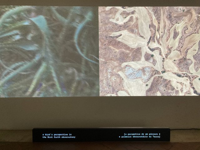 'Peripheral Deserts' by Miguel Teodoro exhibited at Villa Altieri